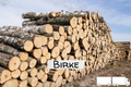 Stammholz Birke – LKW-Ladung flexibel (20 RM oder 40 RM)