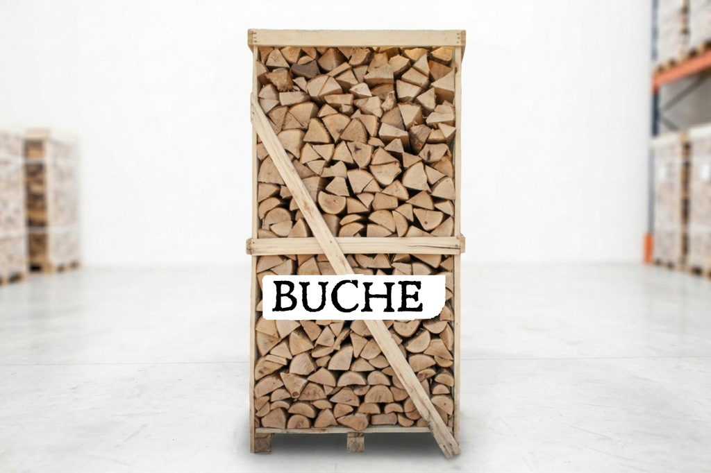 Brennholz Palette – Buche – 25 cm – kammergetrocknet – 2 RM