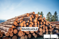 Stammholz Nadelholz – LKW-Ladung flexibel