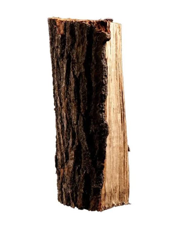 Ofengetrocknetes Eichenbrennholz, 25 cm