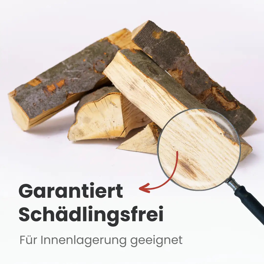 Brennholz Buche kammergetrocknet | 2 RM